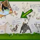 ZVÍŘECÍ RODINY - na farmě - VÝROBA OBRAZU S VÝUKOU 2