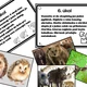 ŠIPKOVANÁ - INDIÁNSKÁ - TERÉNNÍ HRA NA ŠKOLU V PŘÍRODĚ 4