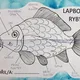 Lapbook - ryby 4