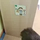 Běhací čtení pro prvňáčky s písmenky Ď,Ť,Ň 5