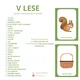 V LESE - demonstrační obrázky (28 ks, A4) 2