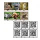 Matematická hledačka s QR kódy 2