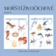 Mořští živočichové - soubor aktivit 3