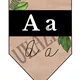 Safari - abeceda 2