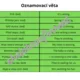 Running dictation - present continuous 4