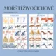 Mořští živočichové - soubor aktivit 4