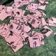 ŽIVOČICHOVÉ ČR - Příprava hodiny s využitím QR kódů 11