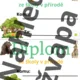 Odznaky a diplomy na školu v přírodě 2