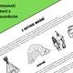 ŠKOLA V PŘÍRODĚ - téma INDIÁNI - pracovní listy a LAPAČ SNŮ - 3. třída 4