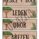Safari - roční období, měsíce, dny v týdnu 3