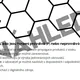 Světový den včel  - práce s textem 2
