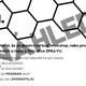 Světový den včel  - práce s textem 4