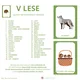 V LESE (39 ks A4) - demonstrační obrázky + počítání od 1 do 10 2