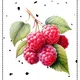 SUMMER FLASHCARDS / LETNÍ KARTIČKY 4