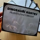  PROSVĚTLOVACÍ OBRÁZKY - DINOSAUŘÍ KOSTRY  4
