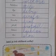 Zábavné psaní - zvířata v ZOO 4