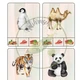 Zoo 6