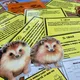 DEN TŘÍDNÍHO UČITELE - hra nejen na konec školního roku - možnost QR kódů 5