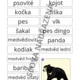 SLOVA NADŘAZENÁ, PODŘAZENÁ, SOUŘADNÁ - ŠELMY 3