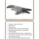 Dinosauři - obrázky se základním popisem 4