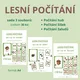 SADA LESNÍHO POČÍTÁNÍ - houby + šišky + žaludy (30 ks, A4) 5