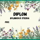 Diplomy 2