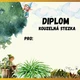 Diplomy 3