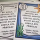 VYJMENOVANÁ SLOVA - MOŘSKÝ SVĚT - VÝZDOBA I K VÝUCE 2