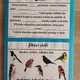 Zima - pracovní listy a lapbook 11