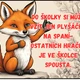 Informace pro rodiče- třída lištiček 2