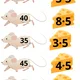Násobení 5 2