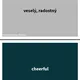 B1 VOCABULARY - VARIOUS TOPICS (velká sada slovní zásoby na různá témata) 4