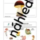 Podzim - pracovní listy a lapbook 5