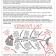 PRÁCE S TEXTEM - 20 VÝJIMEČNÝCH OSOBNOSTÍ - PRO 2. STUPEŇ (KRITICKÉ MYŠLENÍ) 3