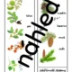 Podzim - pracovní listy a lapbook 7