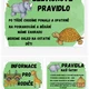 Výzdoba do školky - "Safari" 3