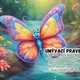 Pravidla třídy- motýlci 4