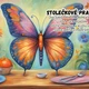 Pravidla třídy- motýlci 2