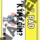 Pády podstatných jmen - přehled učiva  4