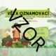 Druhy vět - výzdoba třídy  3