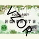 Samohlásky a souhlásky - výzdoba třídy  3