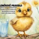 Pravidla třídy- kuřátka 3