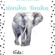 Puntíková třída - KRONIKY 4