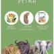 Celoroční hra motivační - velká africká pětka 4