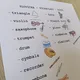 Bingo - Musical Instruments (Hudební nástroje) 4