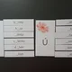 Psaní u/ů/ú 4