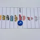 Vocabulary - TRANSPORT - sada 10
