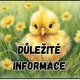 Informace pro rodiče- třída kuřátek 4