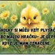 Informace pro rodiče- třída kuřátek 3