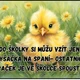 Informace pro rodiče- třída kuřátek 2